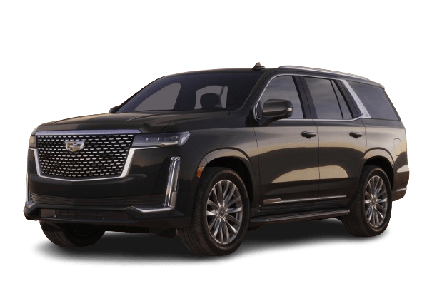 Cadillac Unveils Diverse Lineup, Showcasing Power and Innovation